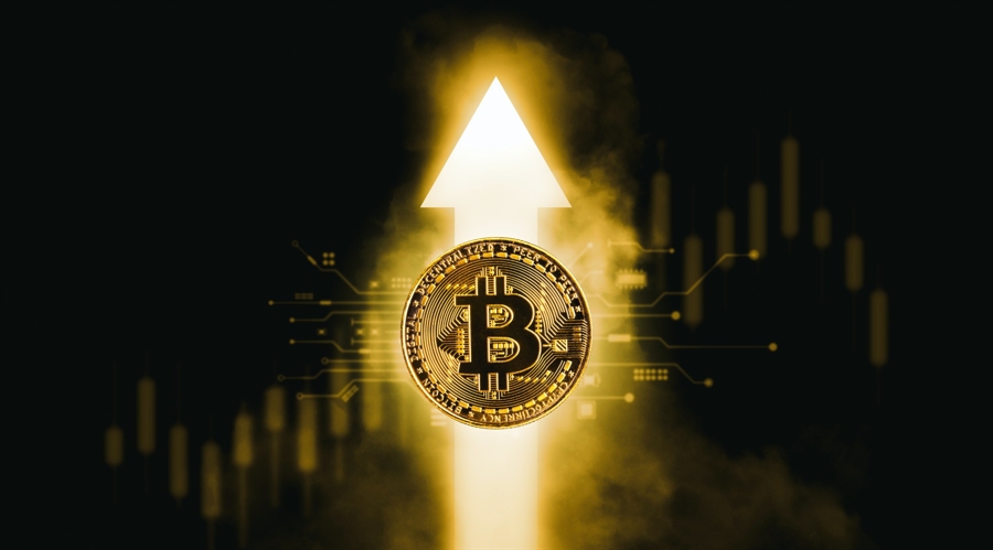 26,000+ New Bitcoin Millionaires in H1 ’25, Trump Portfolio Nosedives