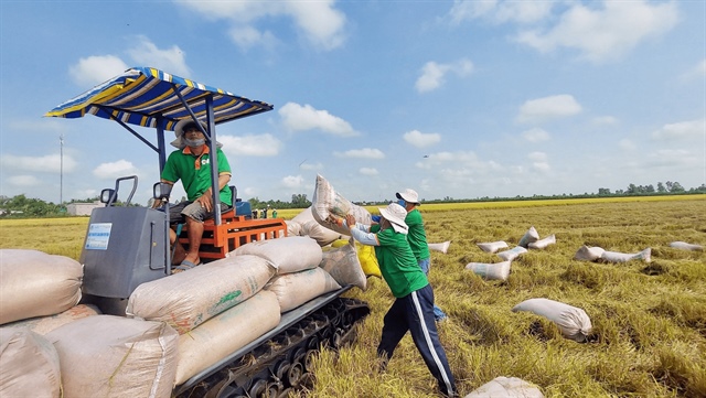 Bộ Công Thương phản hồi kiến nghị về quy định ủy thác xuất khẩu gạo